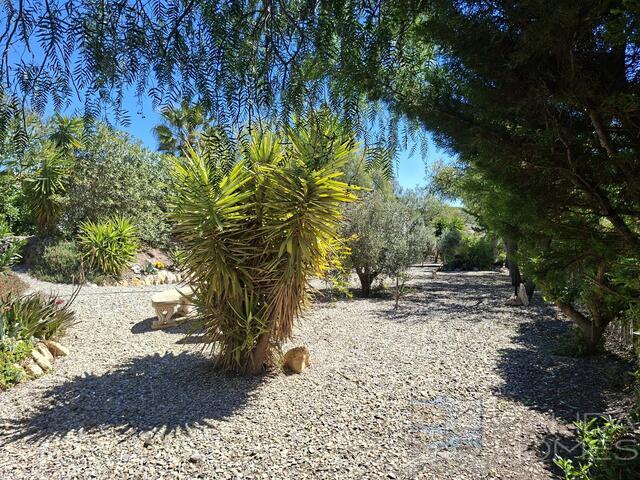 Casa de Sol : Villa for Sale in Arboleas, Almería Casa de Sol : Villa for Sale in Arboleas, Almería