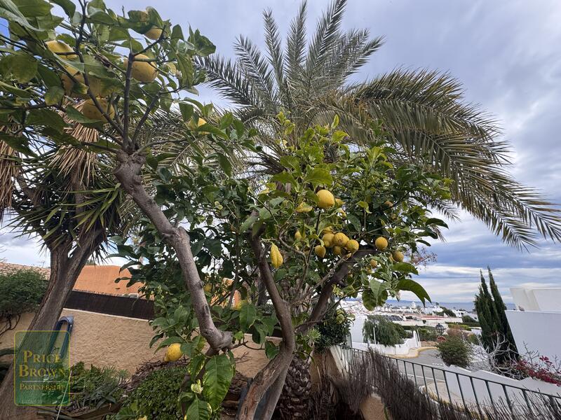 DV1606: Villa zu verkaufen In Mojácar, Almería DV1606: Villa zu verkaufen In Mojácar, Almería