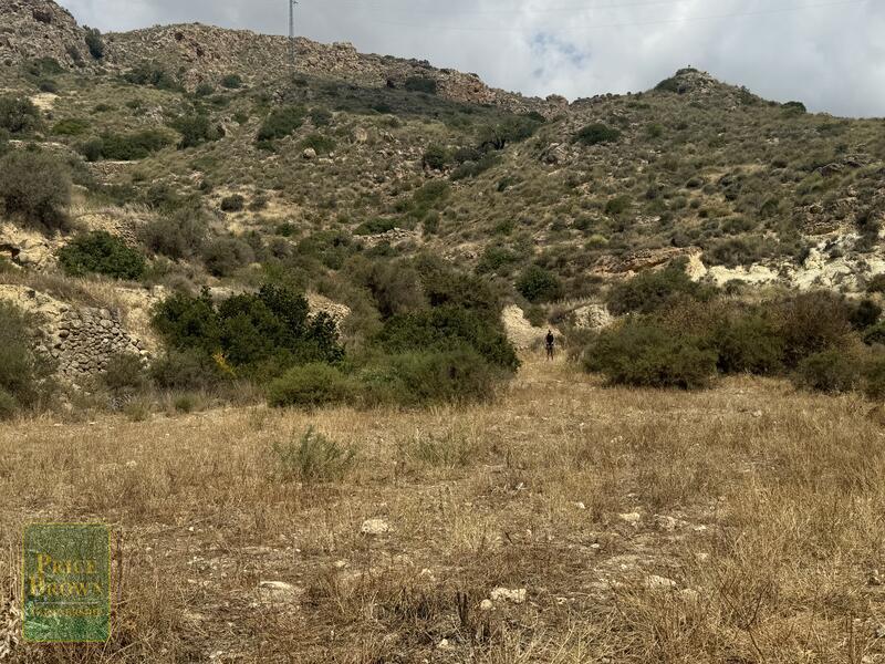 LANCariatiz: Land for Sale in Cariatiz, Almería LANCariatiz: Land for Sale in Cariatiz, Almería