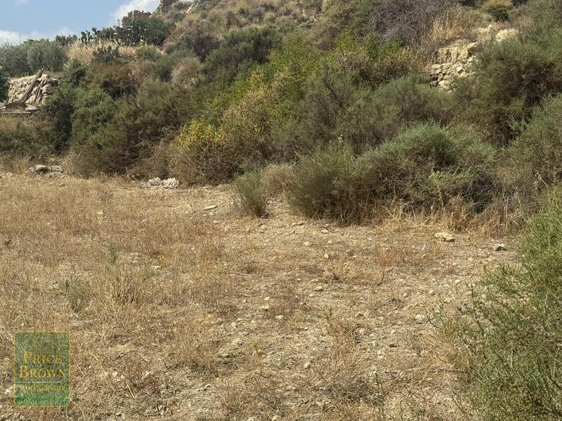 LANCariatiz: Land for Sale in Cariatiz, Almería LANCariatiz: Land for Sale in Cariatiz, Almería