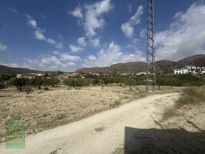 LANCariatiz: Land for Sale in Cariatiz, Almería LANCariatiz: Land for Sale in Cariatiz, Almería