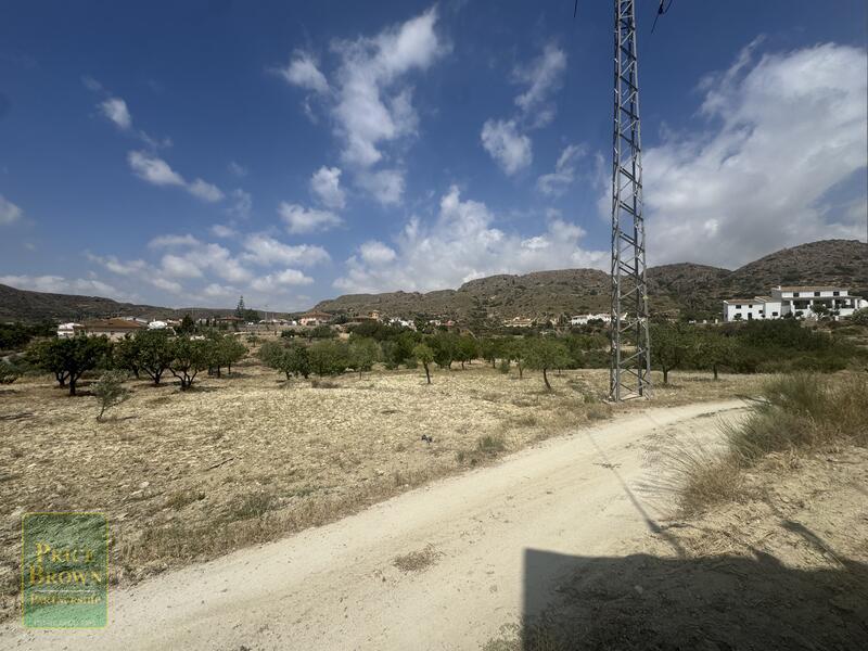 LANCariatiz: Land for Sale in Cariatiz, Almería LANCariatiz: Land for Sale in Cariatiz, Almería