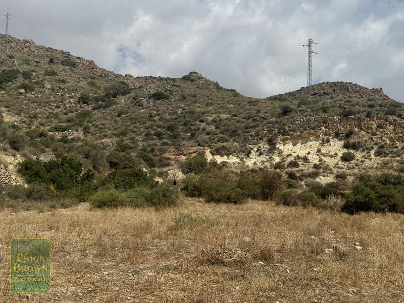 LANCariatiz: Land for Sale in Cariatiz, Almería LANCariatiz: Land for Sale in Cariatiz, Almería