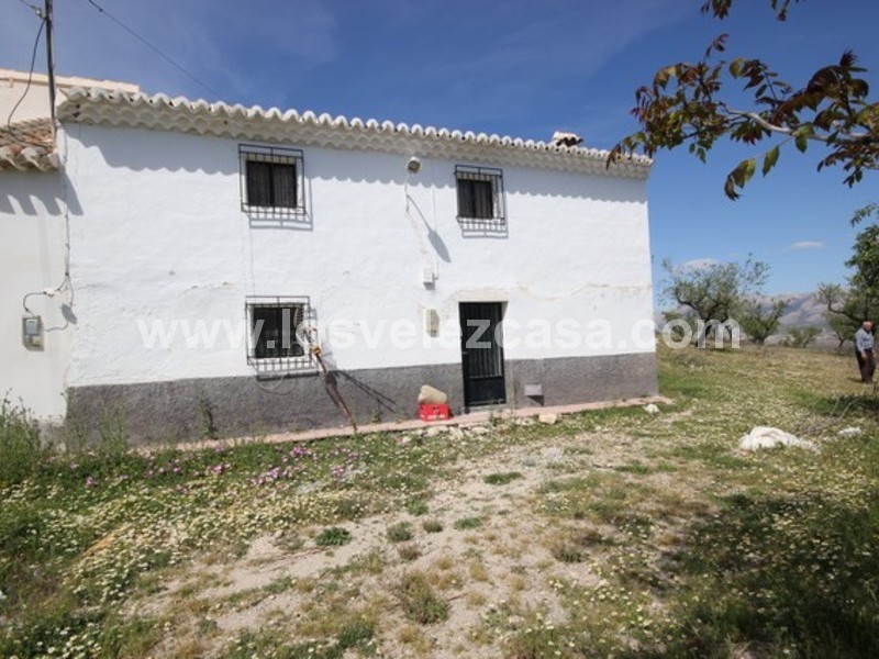 Ander in Velez-Rubio, Almería Ander in Velez-Rubio, Almería