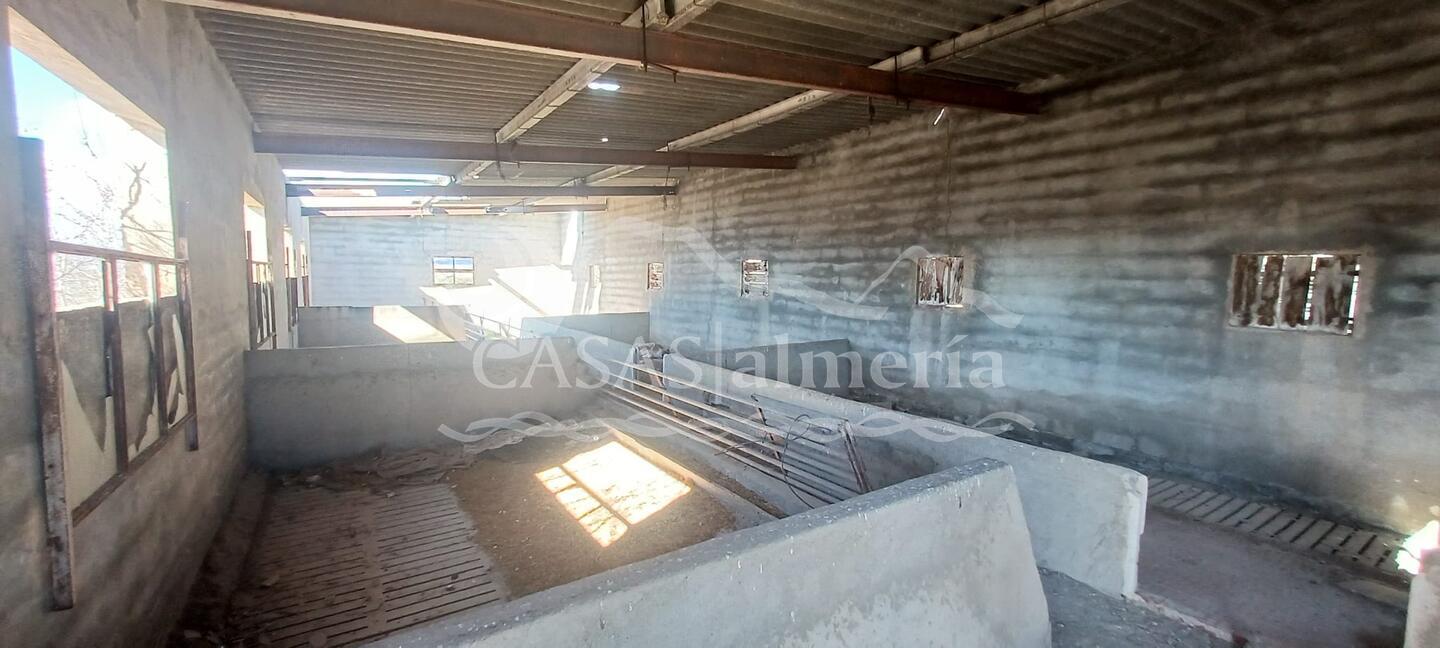 R22344: Landhuis Te koop in Santa Maria De Nieva, Almería R22344: Landhuis Te koop in Santa Maria De Nieva, Almería