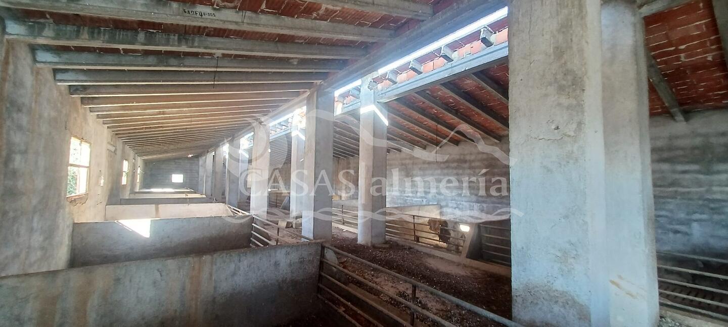 R22344: Landhuis Te koop in Santa Maria De Nieva, Almería R22344: Landhuis Te koop in Santa Maria De Nieva, Almería