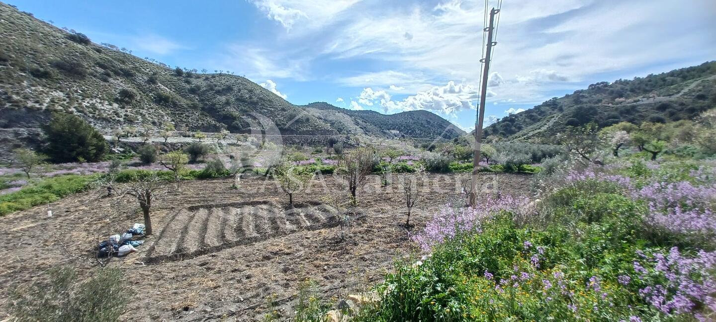 R22349: Country House for Sale in Calabuche, Almería R22349: Country House for Sale in Calabuche, Almería