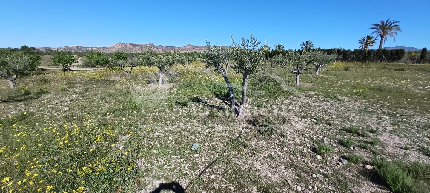 R22358: Autre en vente dans Rambla Grande, Almería R22358: Autre en vente dans Rambla Grande, Almería