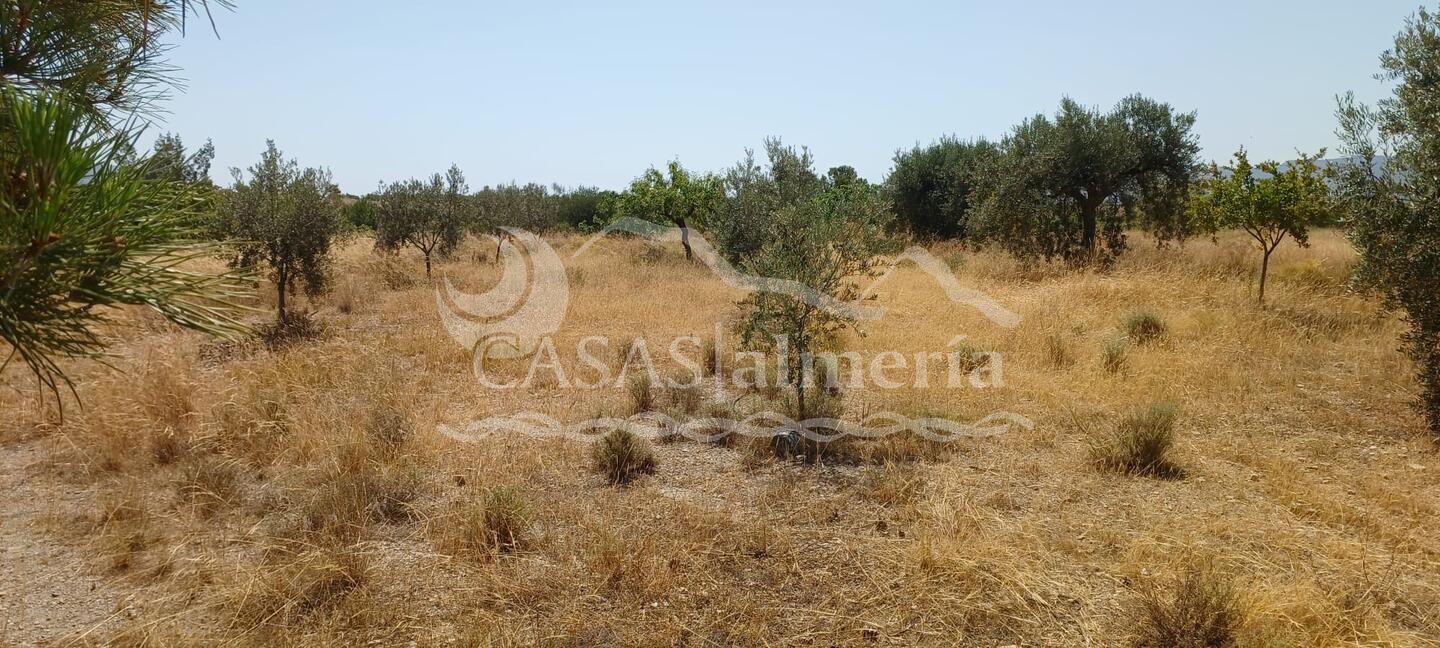 R22359: Autre en vente dans Rambla Grande, Almería R22359: Autre en vente dans Rambla Grande, Almería