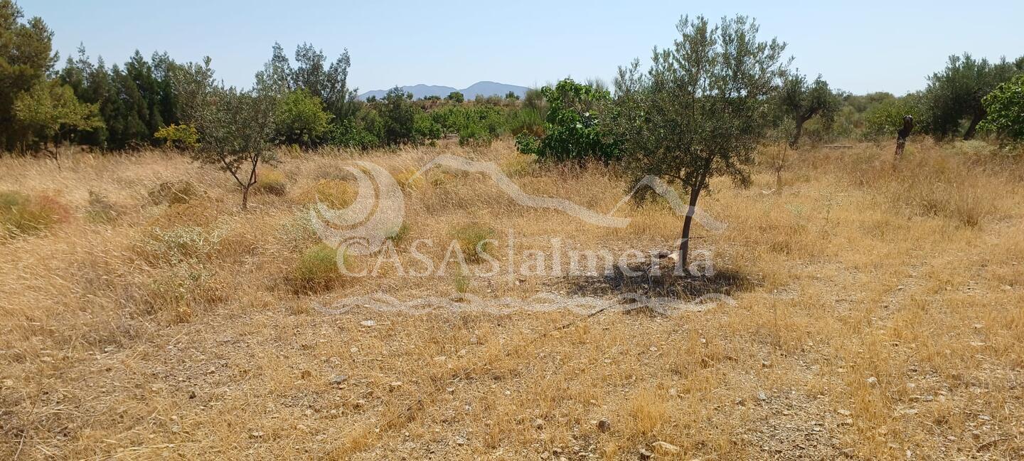 R22359: Autre en vente dans Rambla Grande, Almería R22359: Autre en vente dans Rambla Grande, Almería