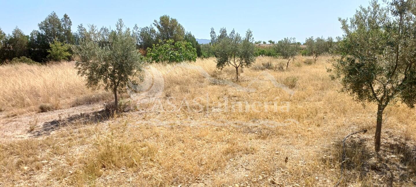 R22359: Autre en vente dans Rambla Grande, Almería R22359: Autre en vente dans Rambla Grande, Almería