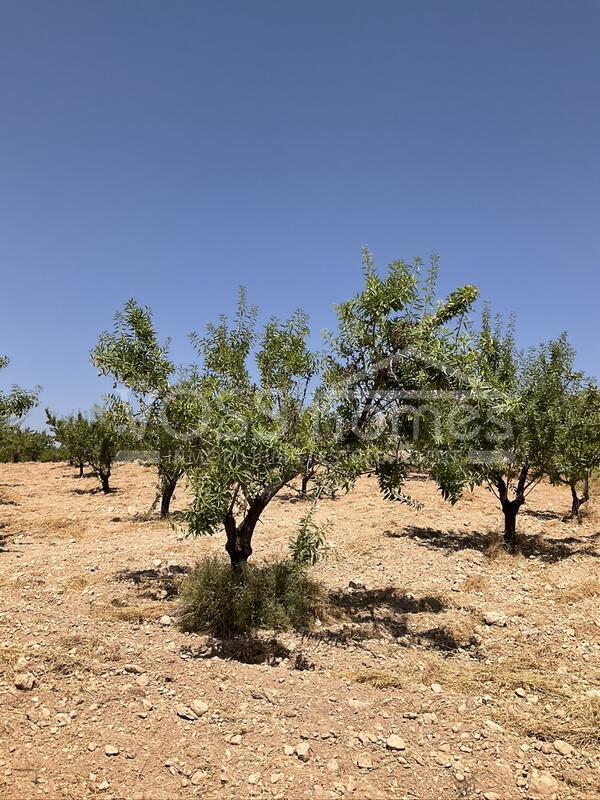 VH2644: Villa for Sale in Velez-Rubio, Almería VH2644: Villa for Sale in Velez-Rubio, Almería