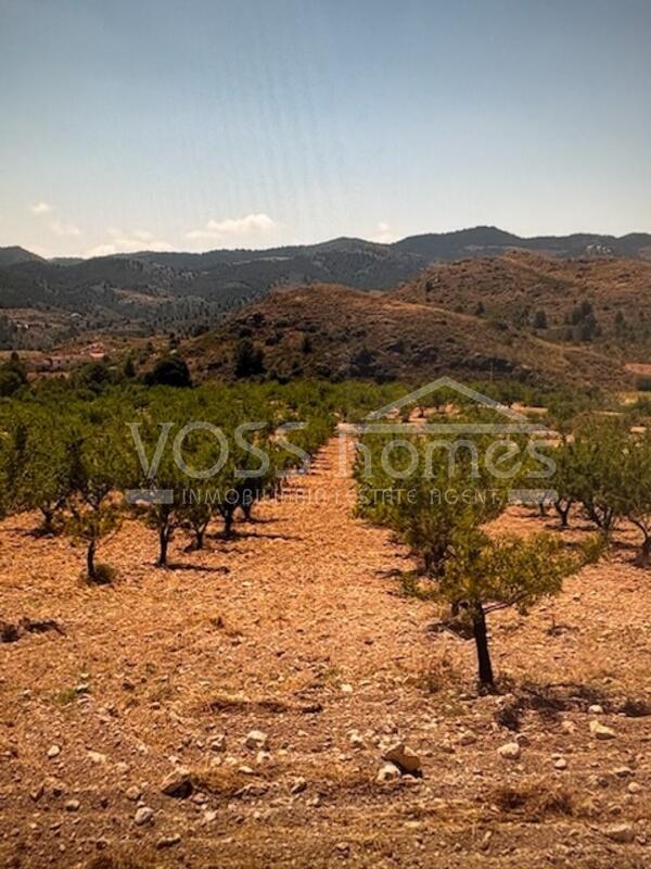 VH2644: Villa for Sale in Velez-Rubio, Almería VH2644: Villa for Sale in Velez-Rubio, Almería