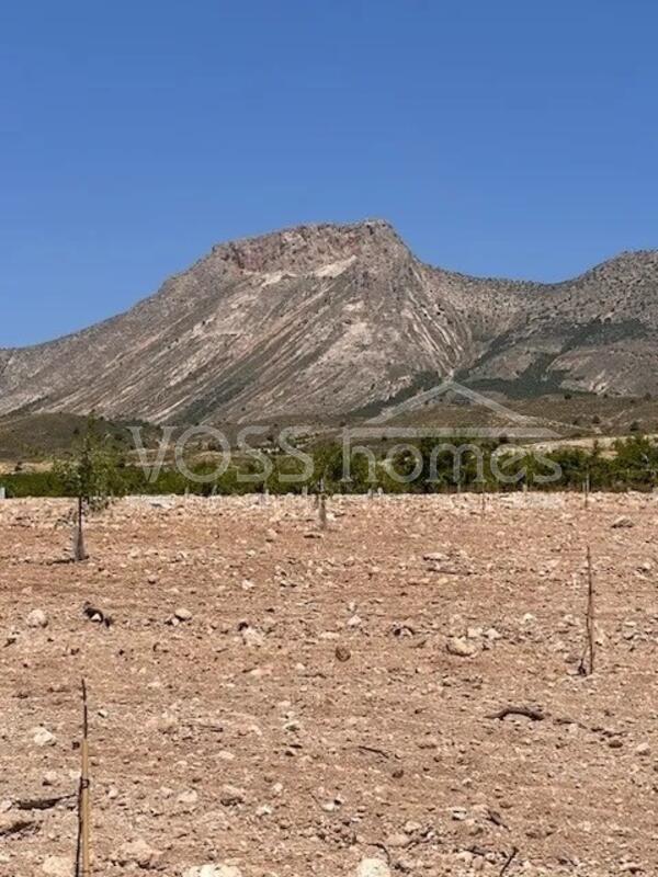 VH2644: Villa for Sale in Velez-Rubio, Almería VH2644: Villa for Sale in Velez-Rubio, Almería