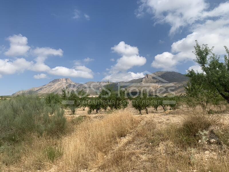 VH2644: Villa for Sale in Velez-Rubio, Almería VH2644: Villa for Sale in Velez-Rubio, Almería