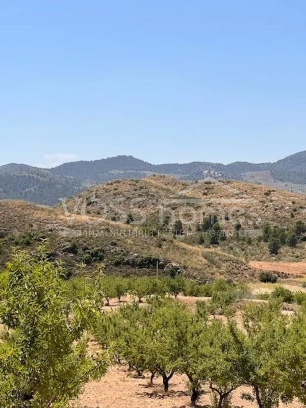 VH2644: Villa for Sale in Velez-Rubio, Almería VH2644: Villa for Sale in Velez-Rubio, Almería