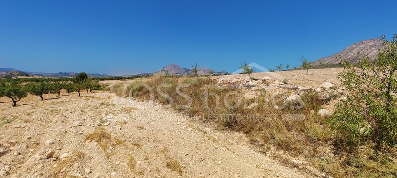 VH2644: Villa for Sale in Velez-Rubio, Almería VH2644: Villa for Sale in Velez-Rubio, Almería