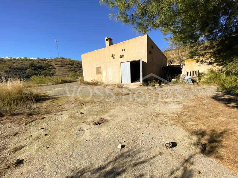 Ander in Huercal-Overa, Almería Ander in Huercal-Overa, Almería