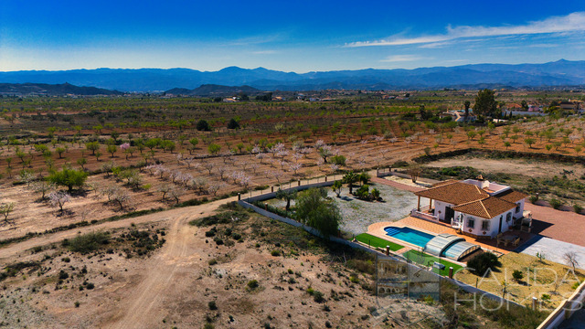 Villa Aster : Villa for Sale in Albox, Almería Villa Aster : Villa for Sale in Albox, Almería