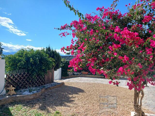 Villa Jasmine : Villa for Sale in Partaloa, Almería Villa Jasmine : Villa for Sale in Partaloa, Almería