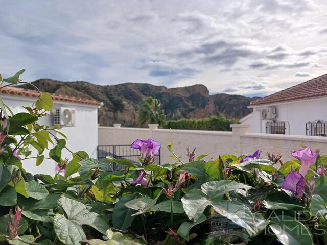 Villa Pearl : Villa for Sale in Arboleas, Almería Villa Pearl : Villa for Sale in Arboleas, Almería